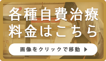 各種自費治療料金